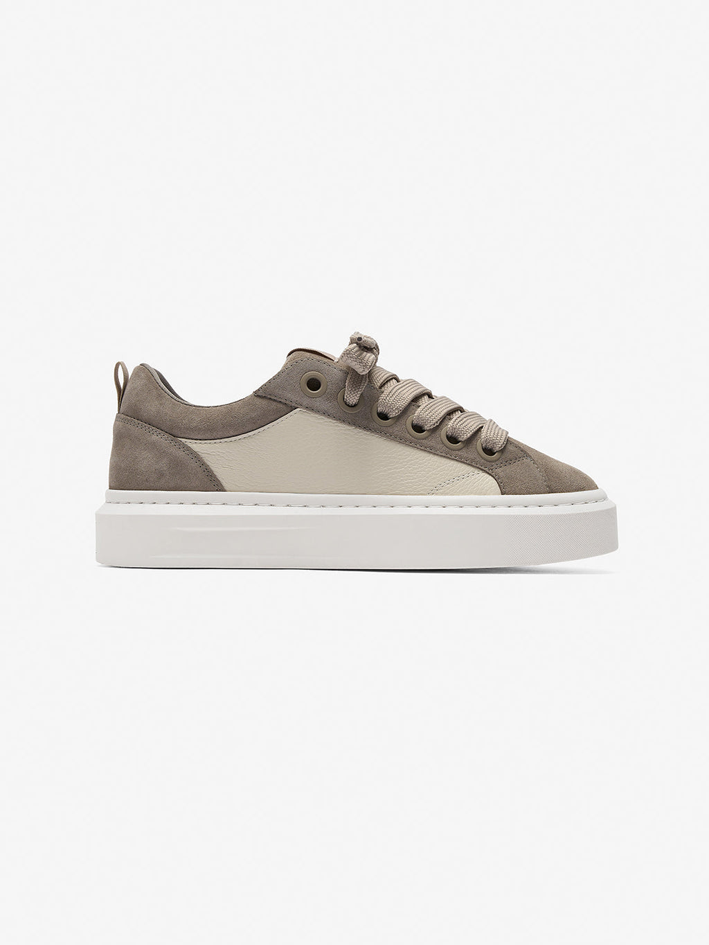 Ace Taupe