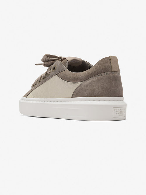 Ace Taupe